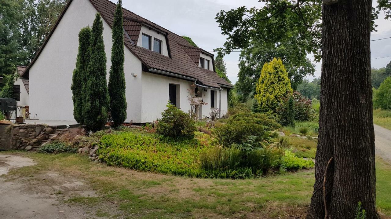 Ferienwohnung "Waldfrieden" Altdobern Extérieur photo