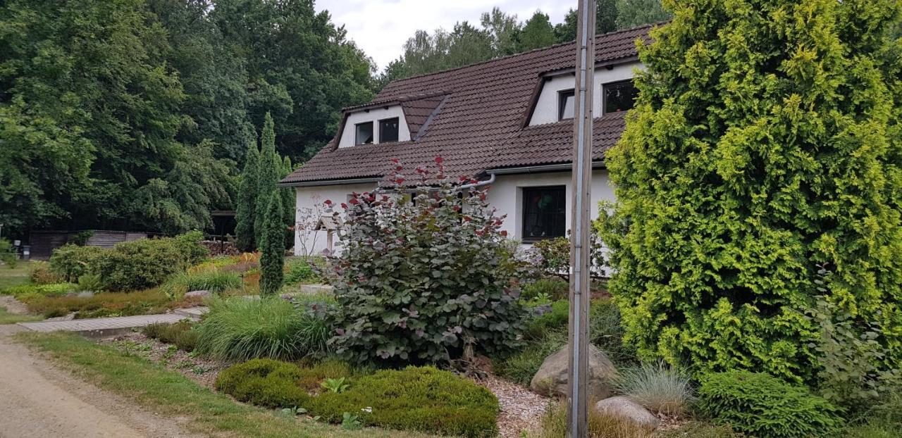 Ferienwohnung "Waldfrieden" Altdobern Extérieur photo